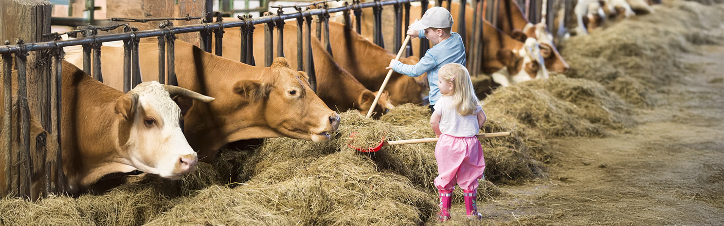 Bauernhoferlebnis – Spaß für Kinder & Nähe zur Natur